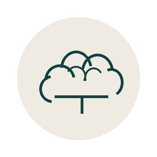 Brain Fog